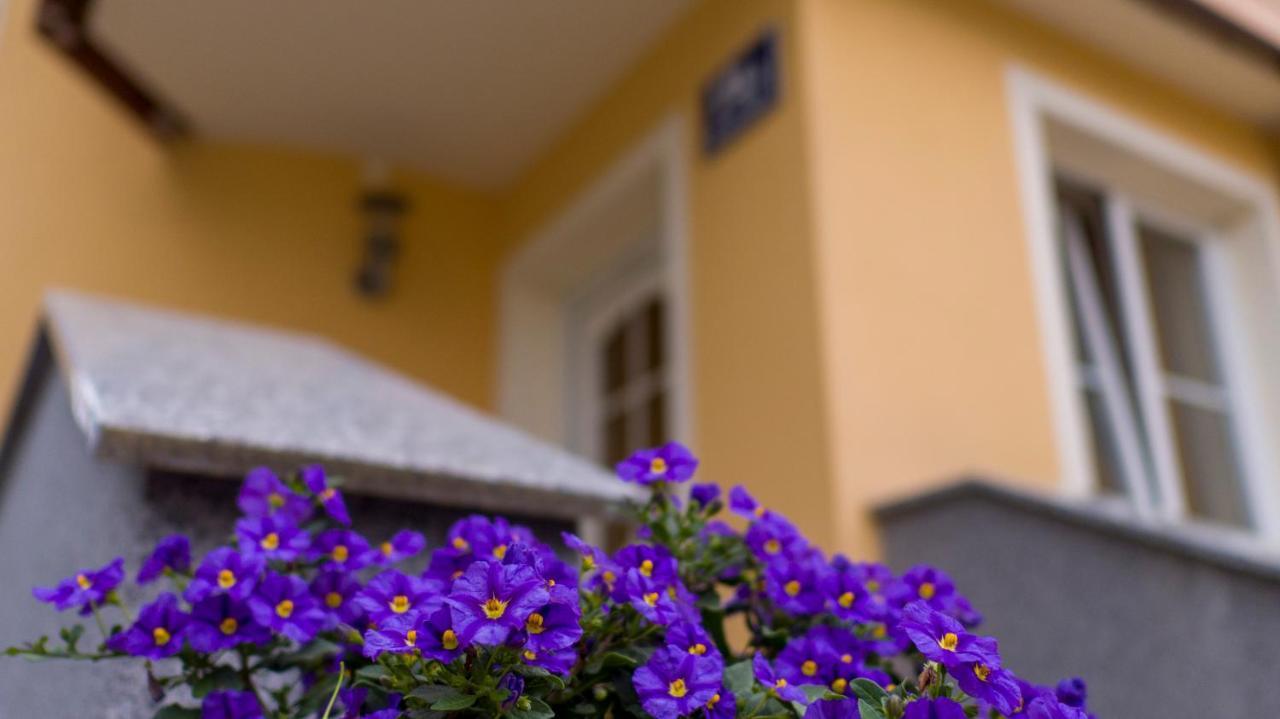 Ferienwohnung Claudia Salzburg Ngoại thất bức ảnh